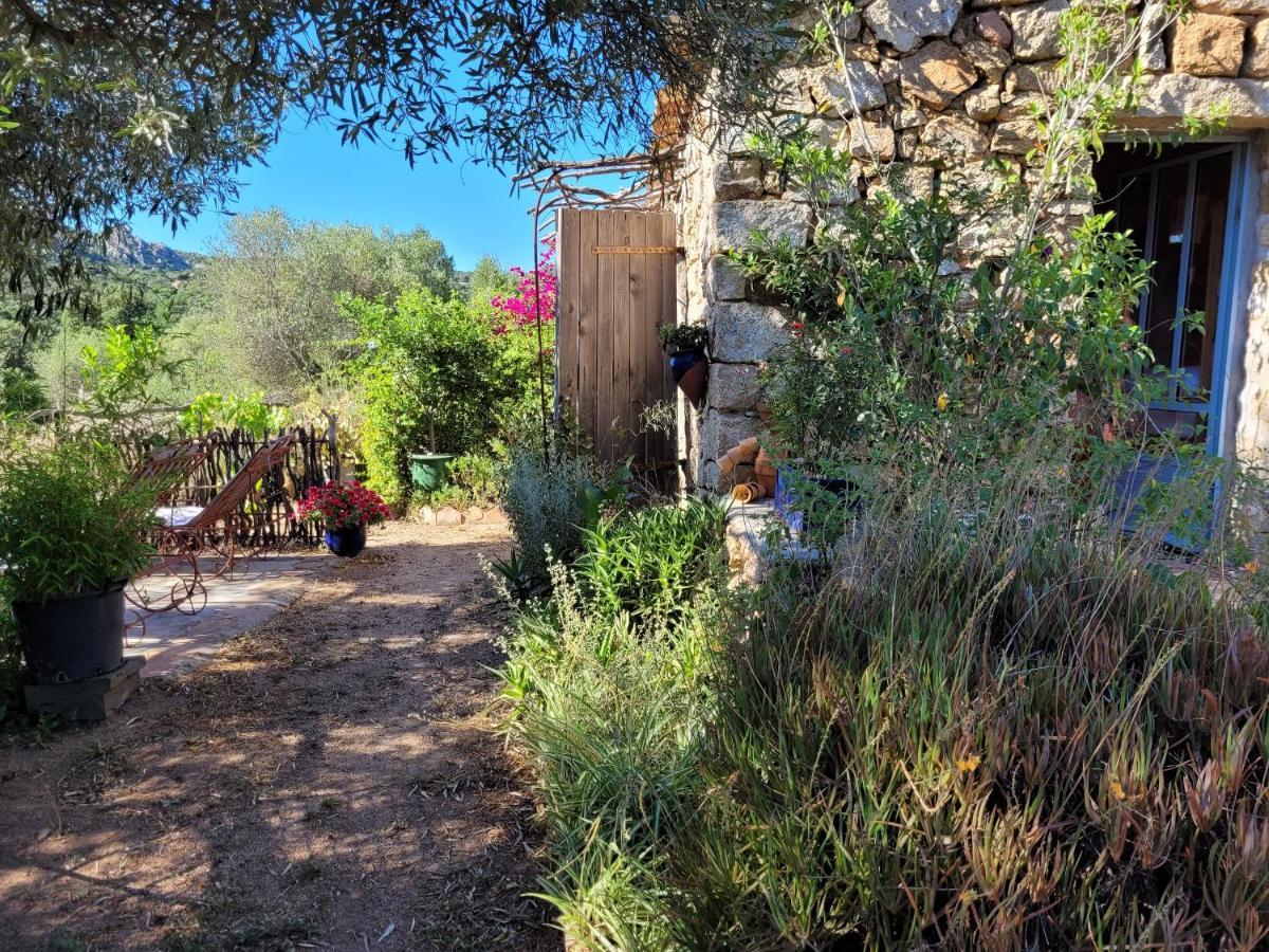 Stazzu La Capretta Farm Camping & Guest Rooms Olbia Exterior photo