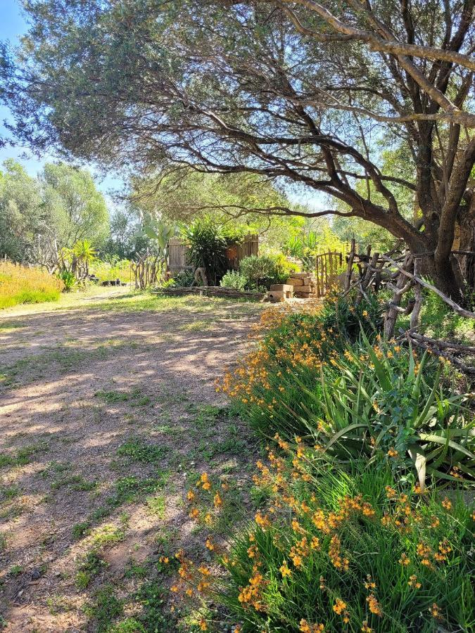 Stazzu La Capretta Farm Camping & Guest Rooms Olbia Exterior photo