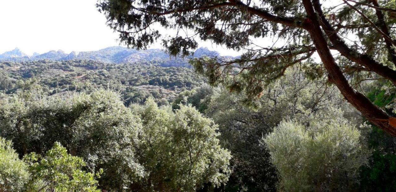 Stazzu La Capretta Farm Camping & Guest Rooms Olbia Exterior photo