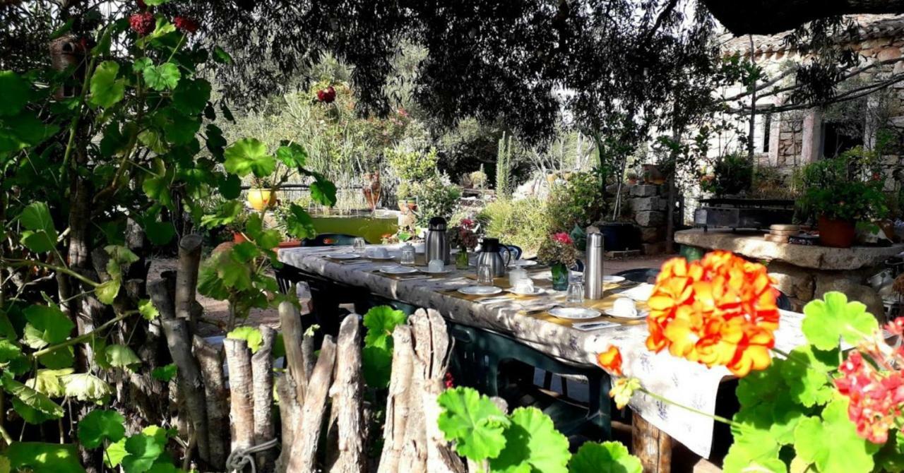 Stazzu La Capretta Farm Camping & Guest Rooms Olbia Exterior photo